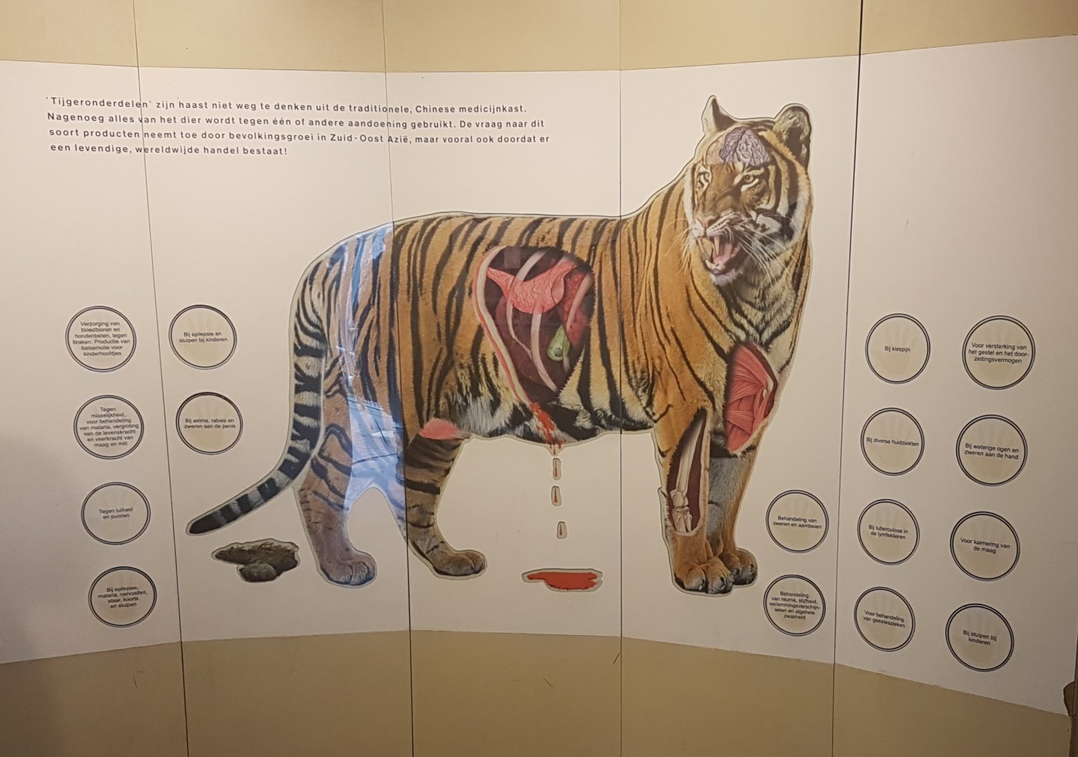 Sign ( mis ) used tiger-parts