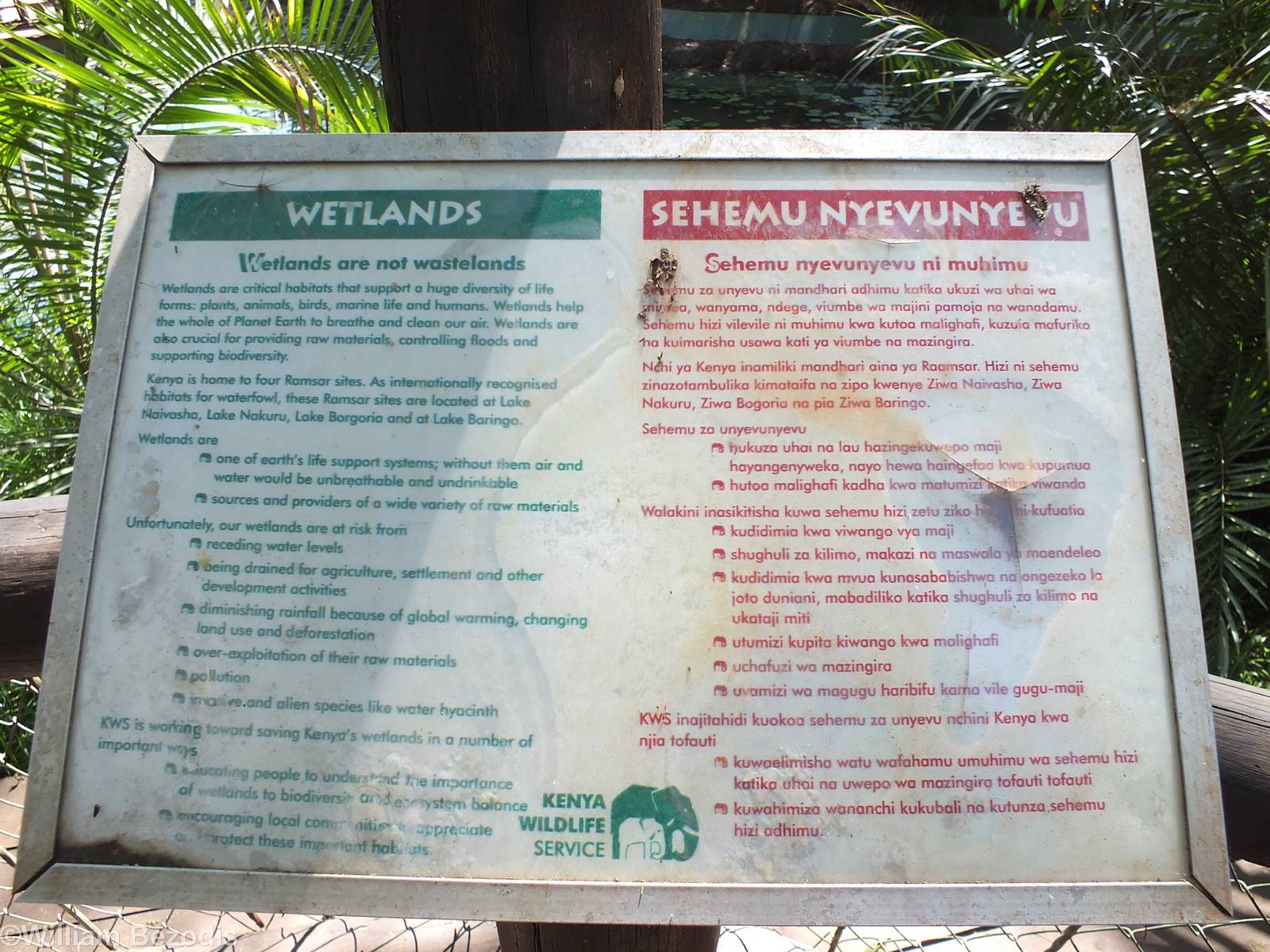 Sign - Nairobi Safari Walk