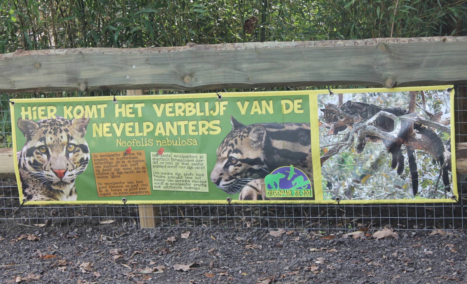 Sign new Clouded leopard-enclosure