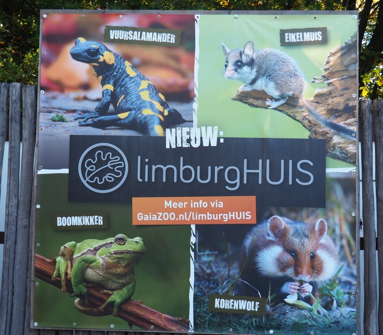 Sign new Limburg House (Oct 13th, 2018)