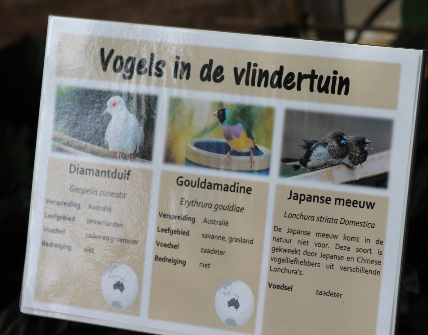 Sign of birds in the Butterfly-garden