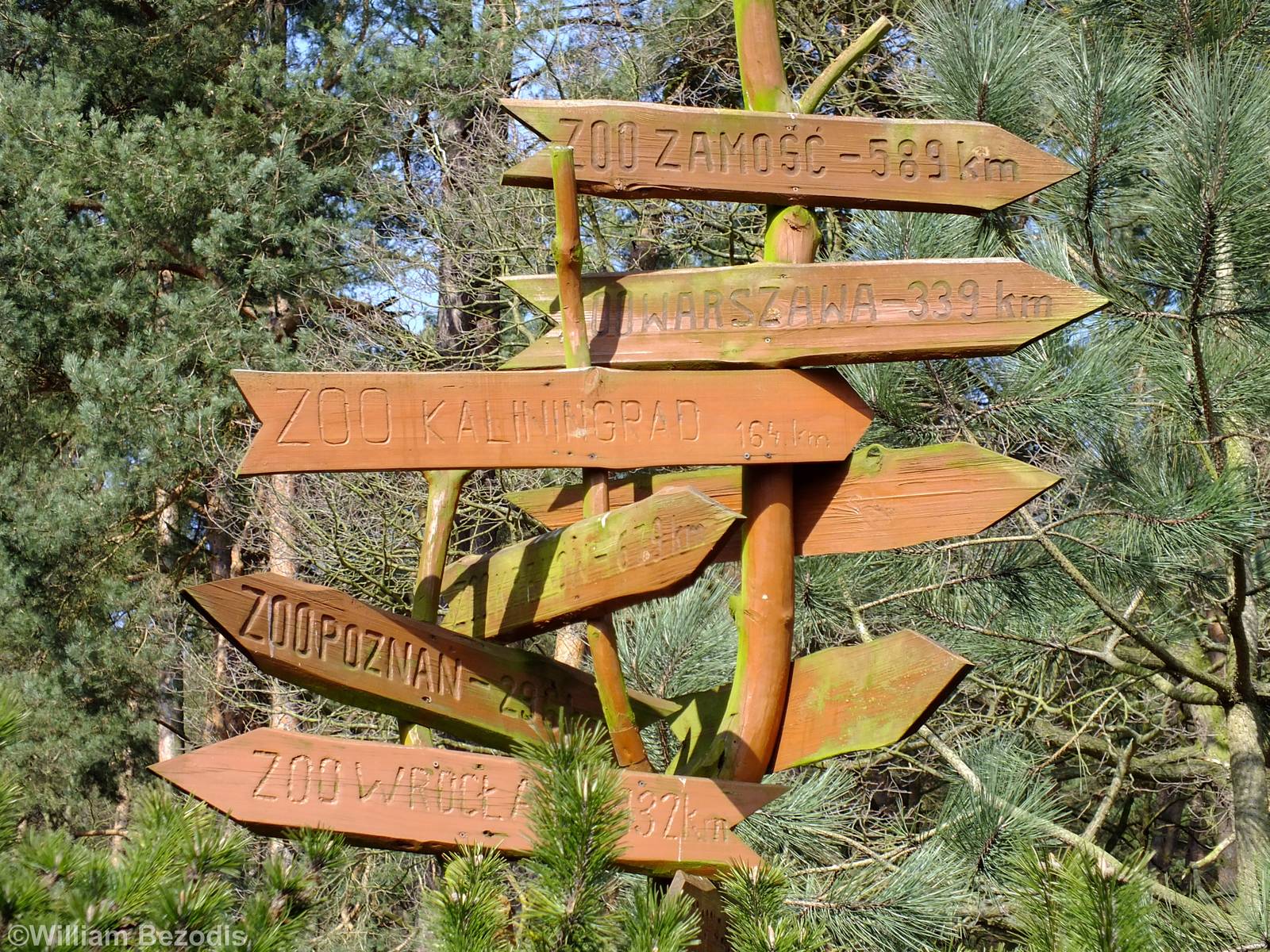 Sign of Nearby Zoos with Direction and Distance