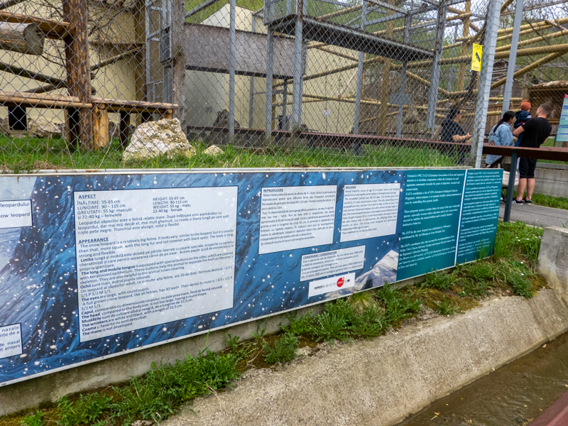 sign of snow leopard