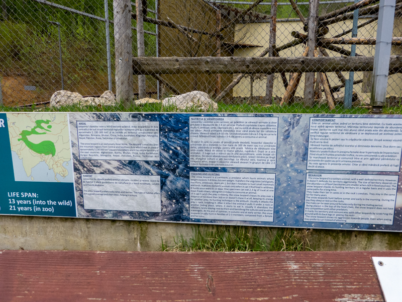 sign of snow leopard