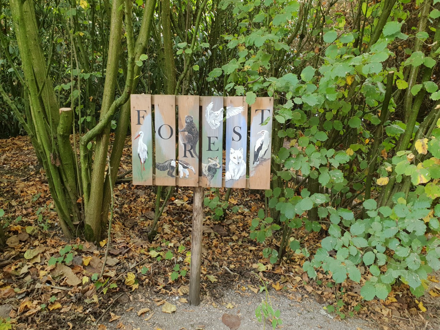 Sign of the forest part