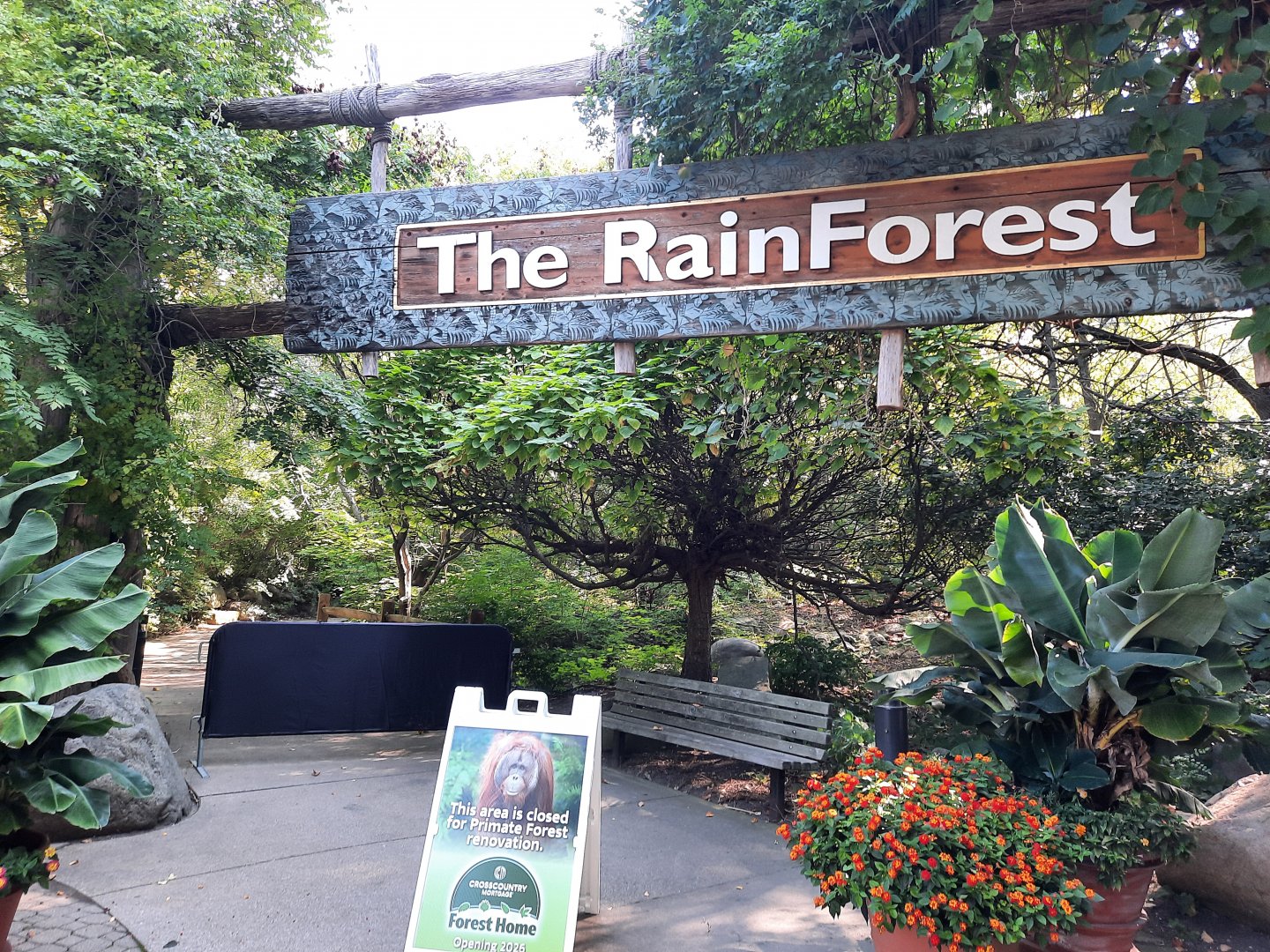 Sign of the past, Sign of the future