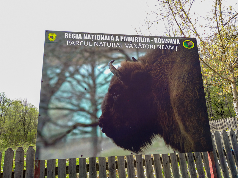 Sign of the sanctuary