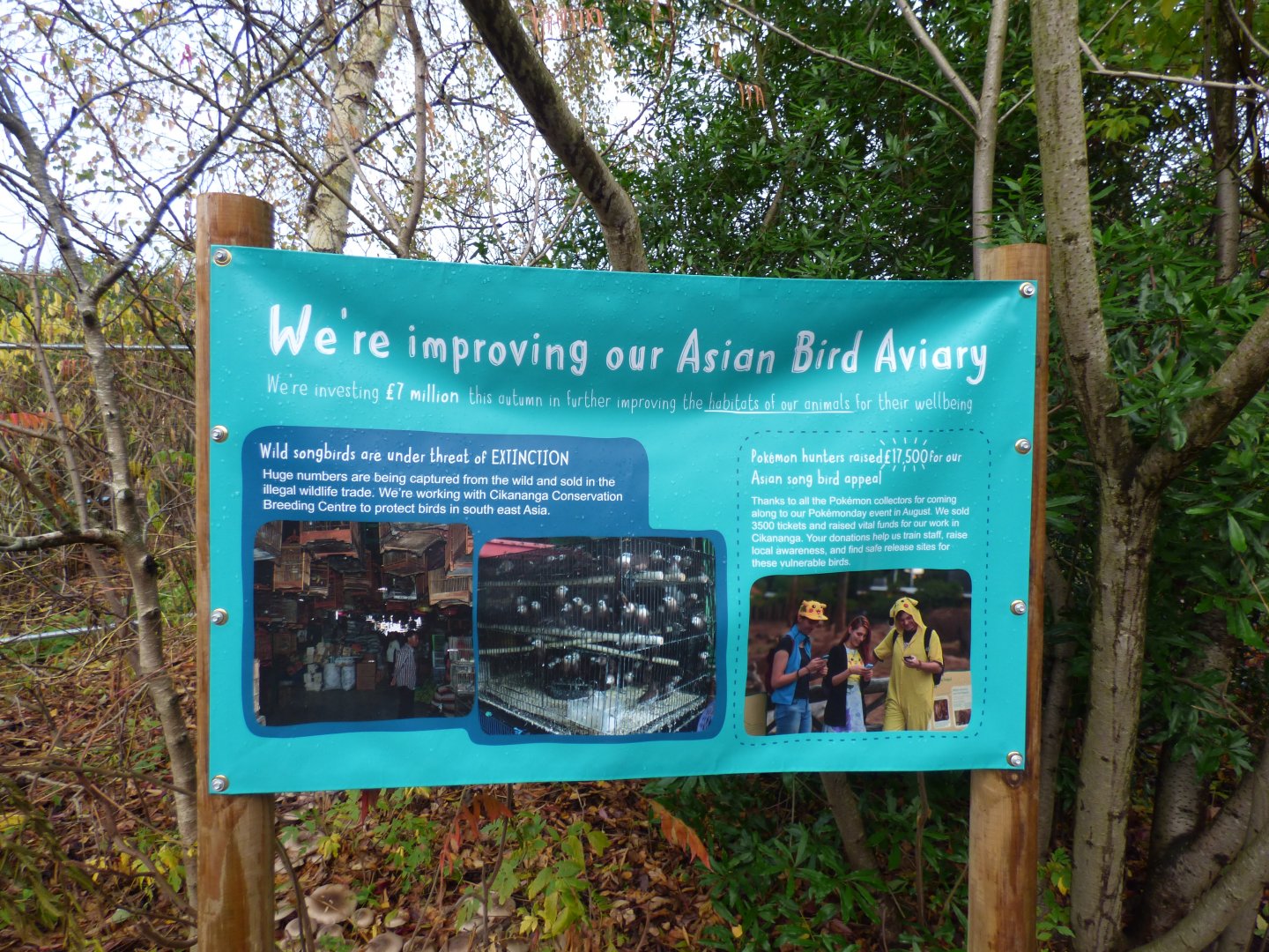 Sign on Asian Bird Aviarys on the site of the former Rainbow Aviarys
