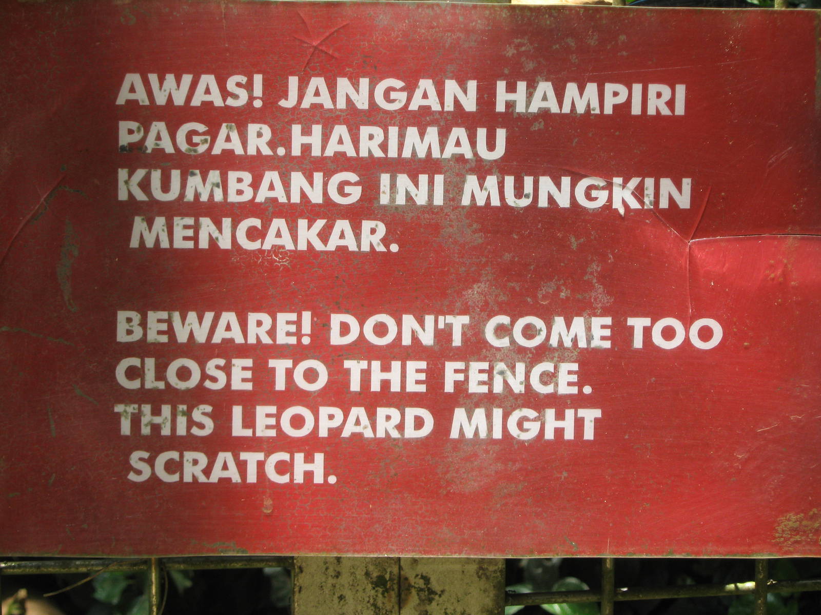 sign on leopard cage