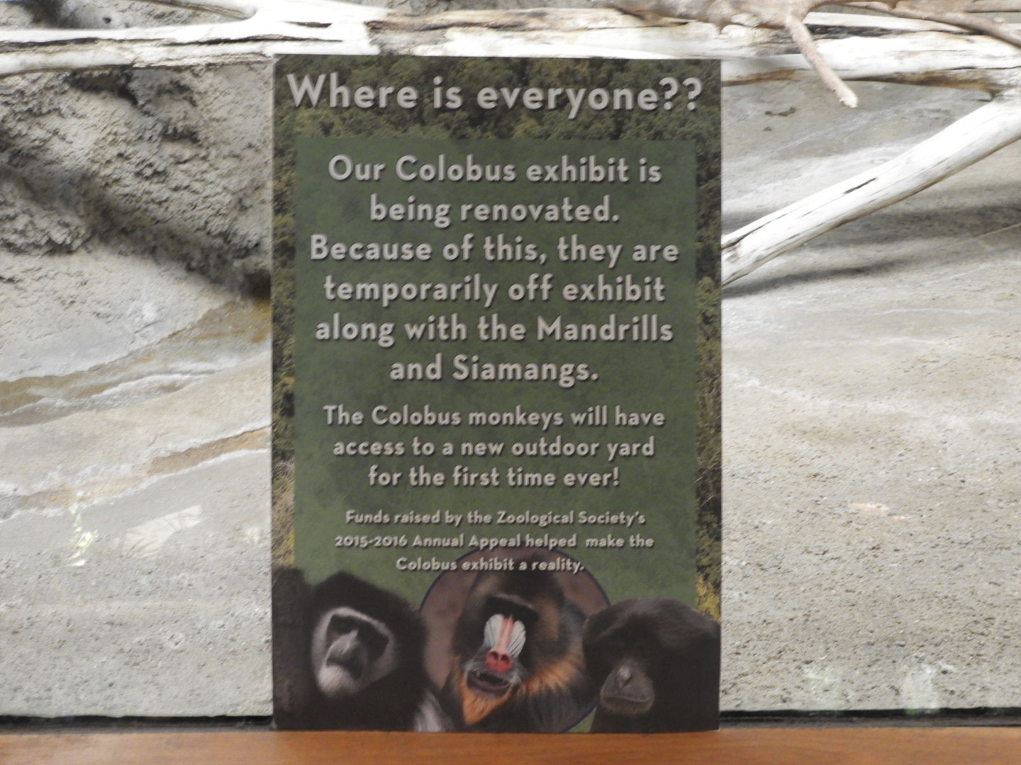 Sign on Mandrill exhibit