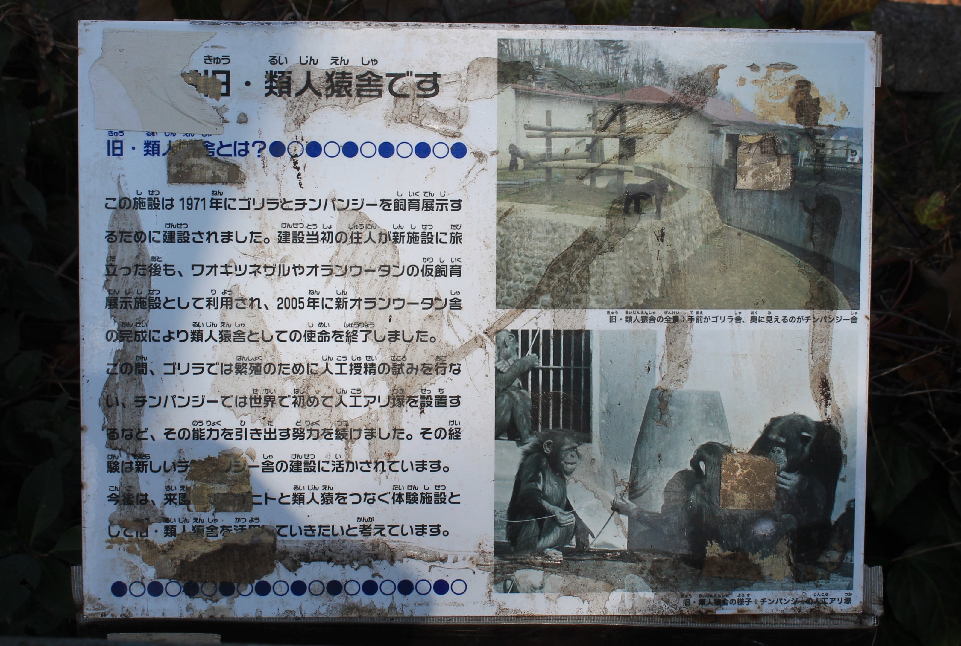 Sign on old ape enclosures