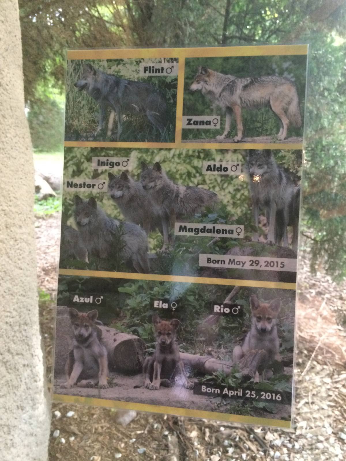 Sign on the Brookfield Zoo wolves
