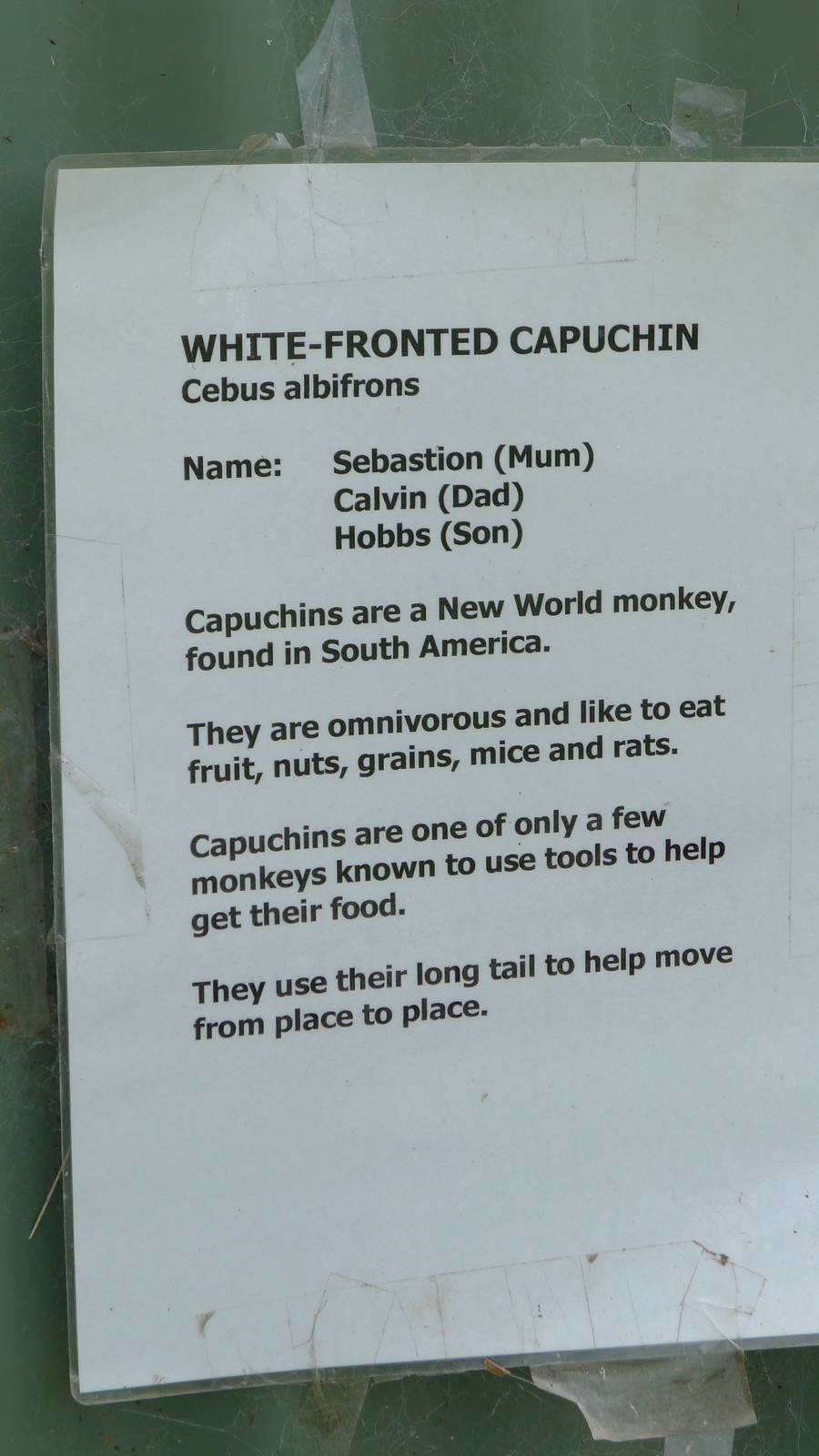 Sign on the Capuchins enclosure