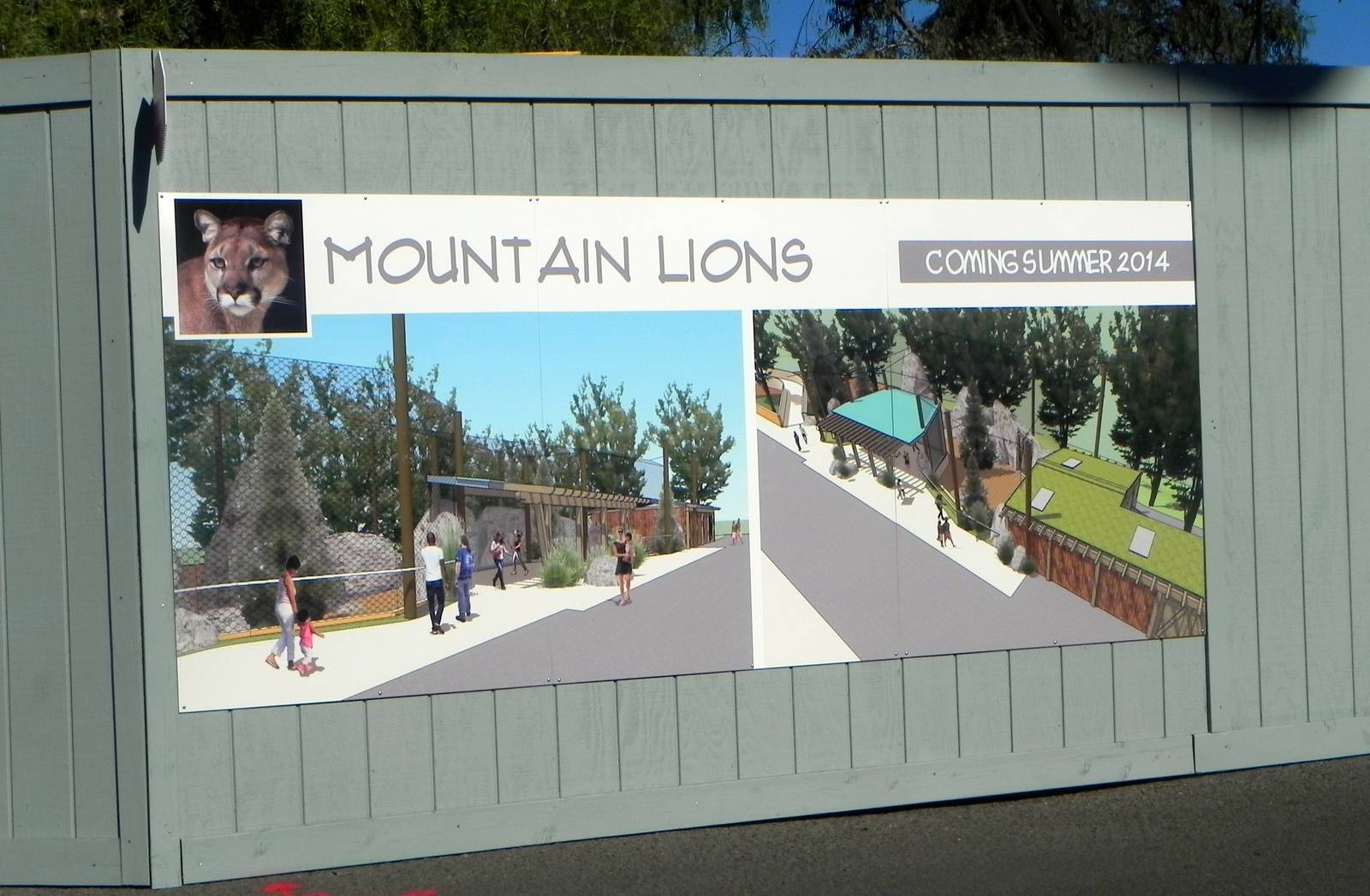 Sign on the fence in front of new mountain lion exhibit.