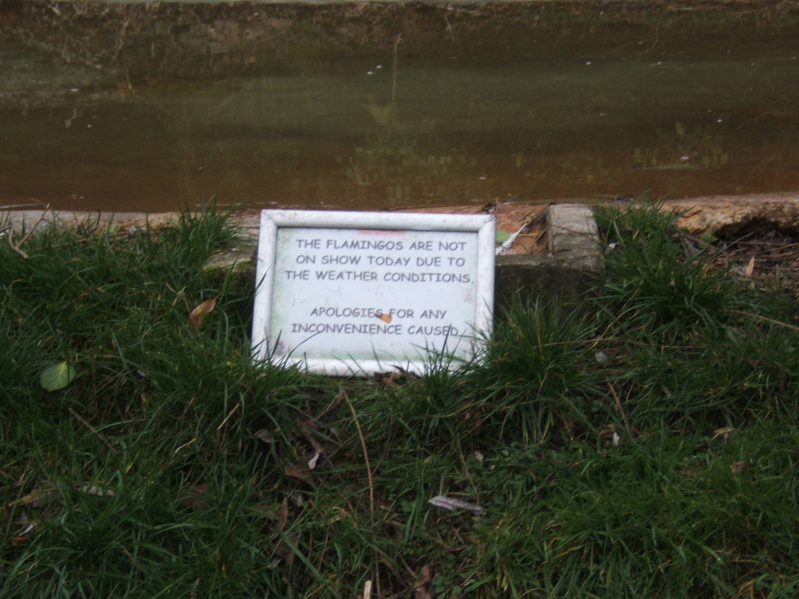 Sign on the Flamingo enclosure