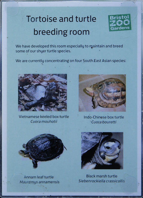 Sign on Tortoise Room Window