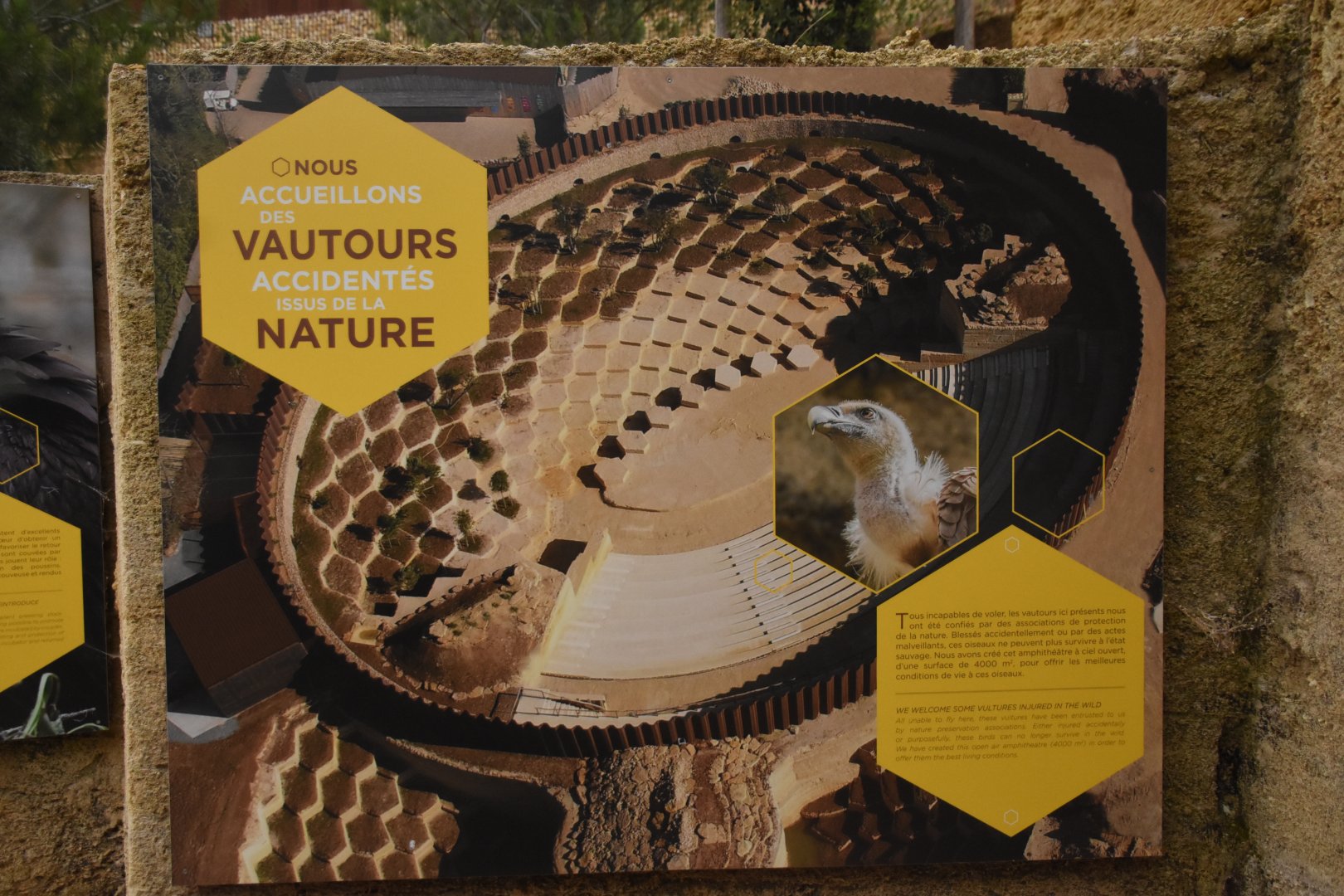 Sign on vulture origins