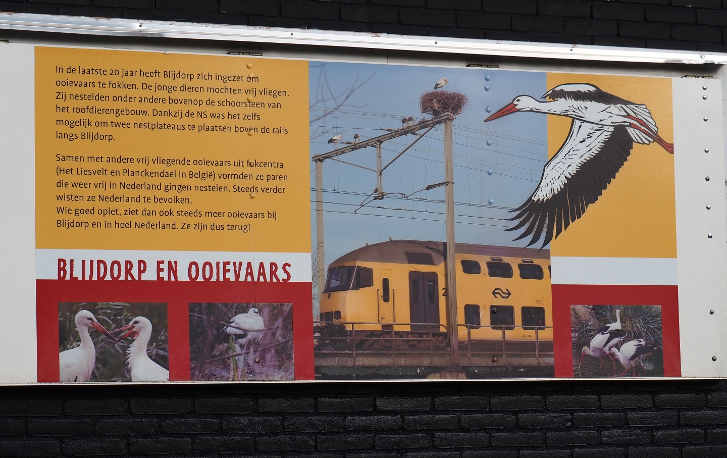 Sign on white stork nests at the Rotterdam Zoo (Nov 10th, 2018)