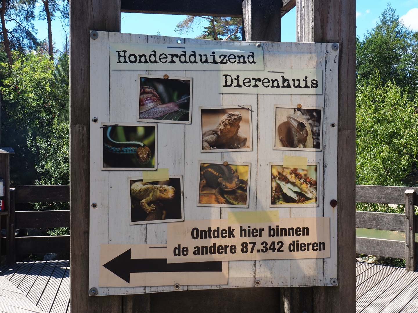 Sign "One Hundred Thousand Animal House"