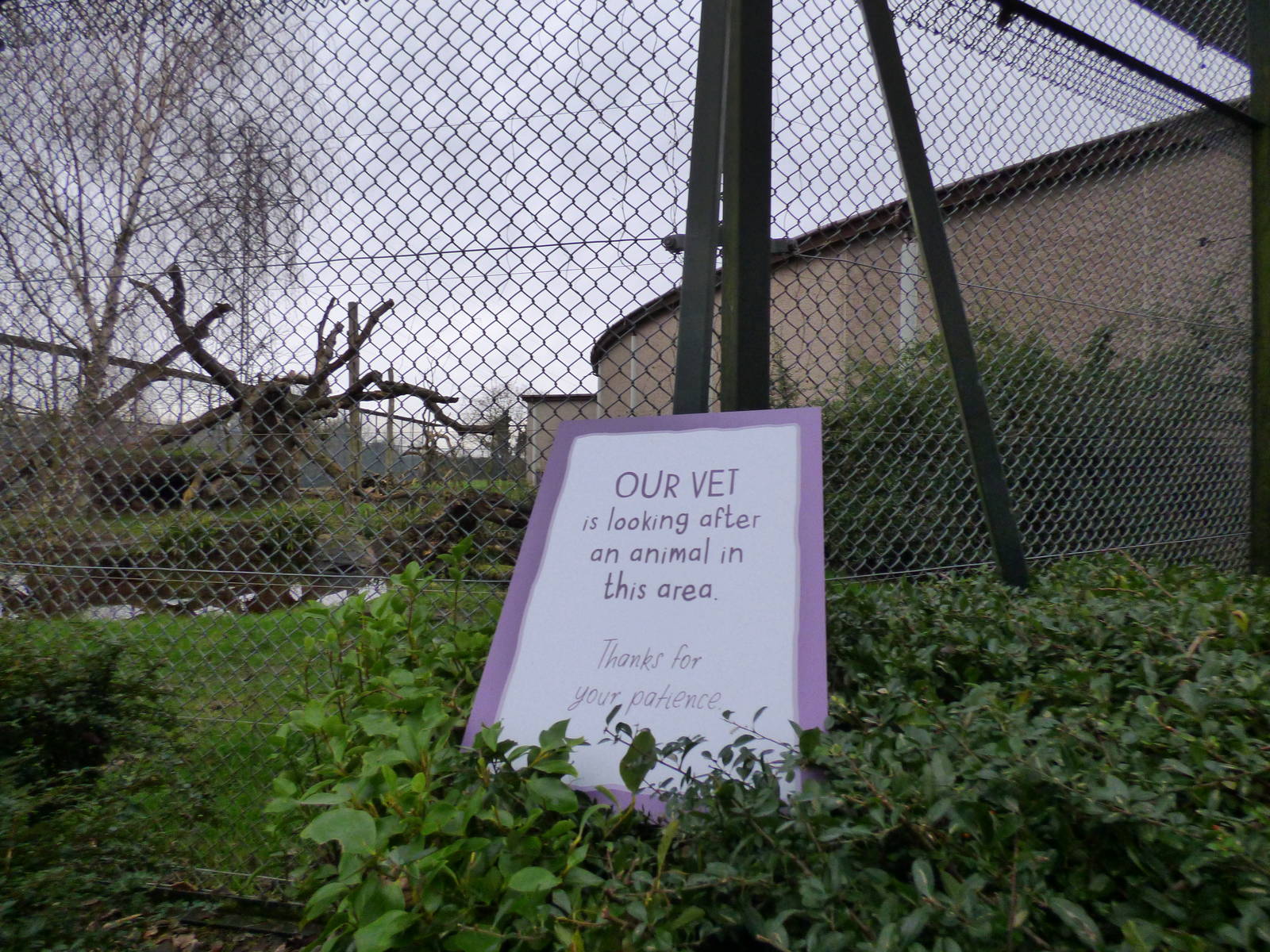 Sign outside Sofia's outdoor enclosure