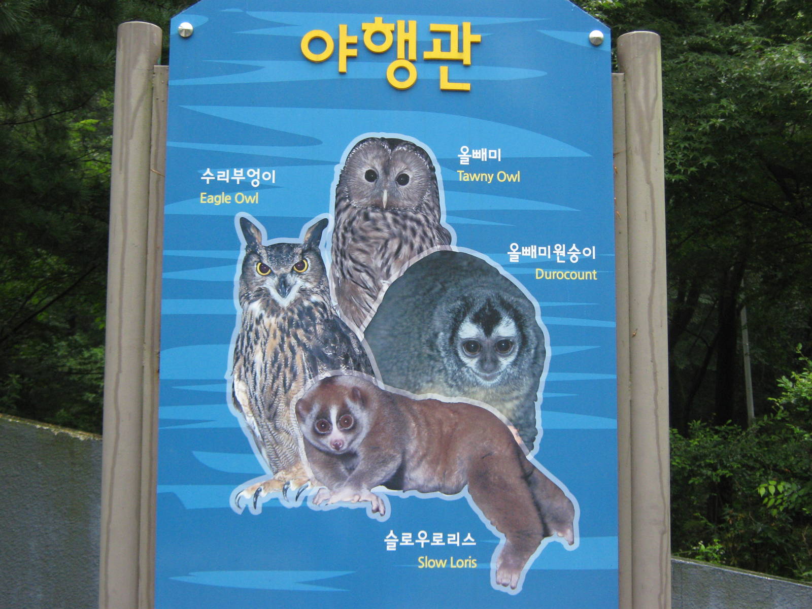 sign outside the Nocturnal House