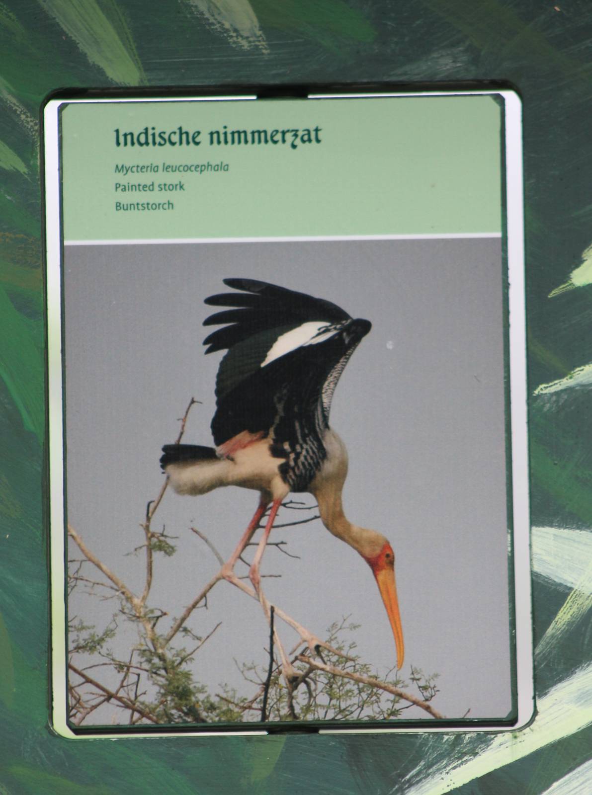 Sign Painted stork