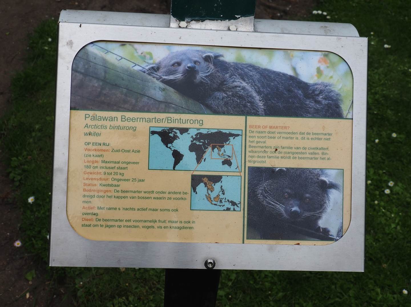 Sign Palawan binturong, 2019-05-25
