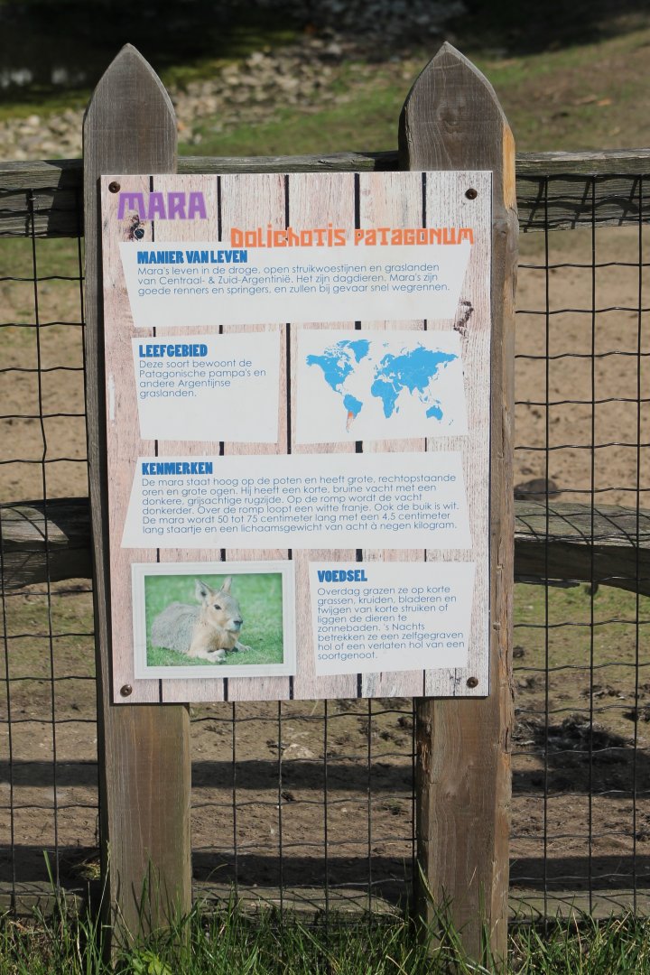 Sign Patagonian cavy