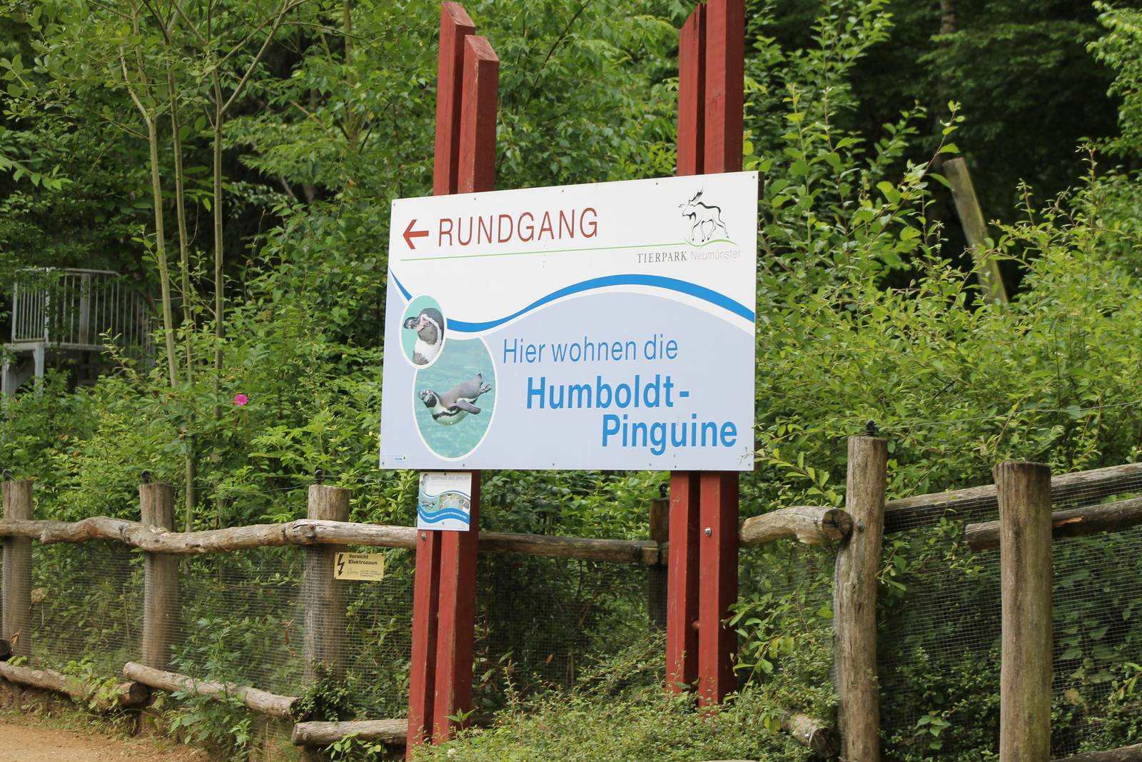 Sign Penguin enclosure