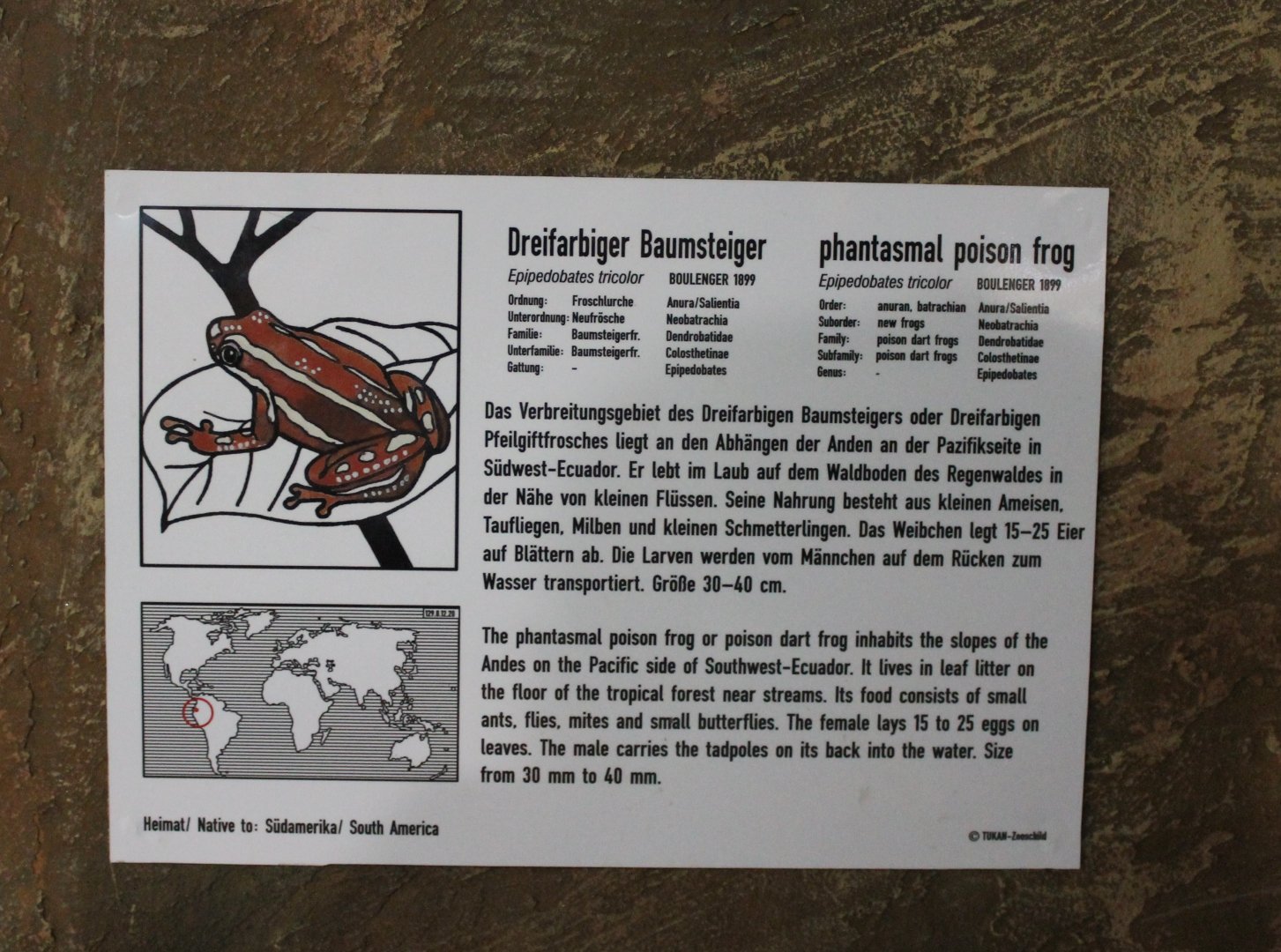 Sign Phantasmal poison frog