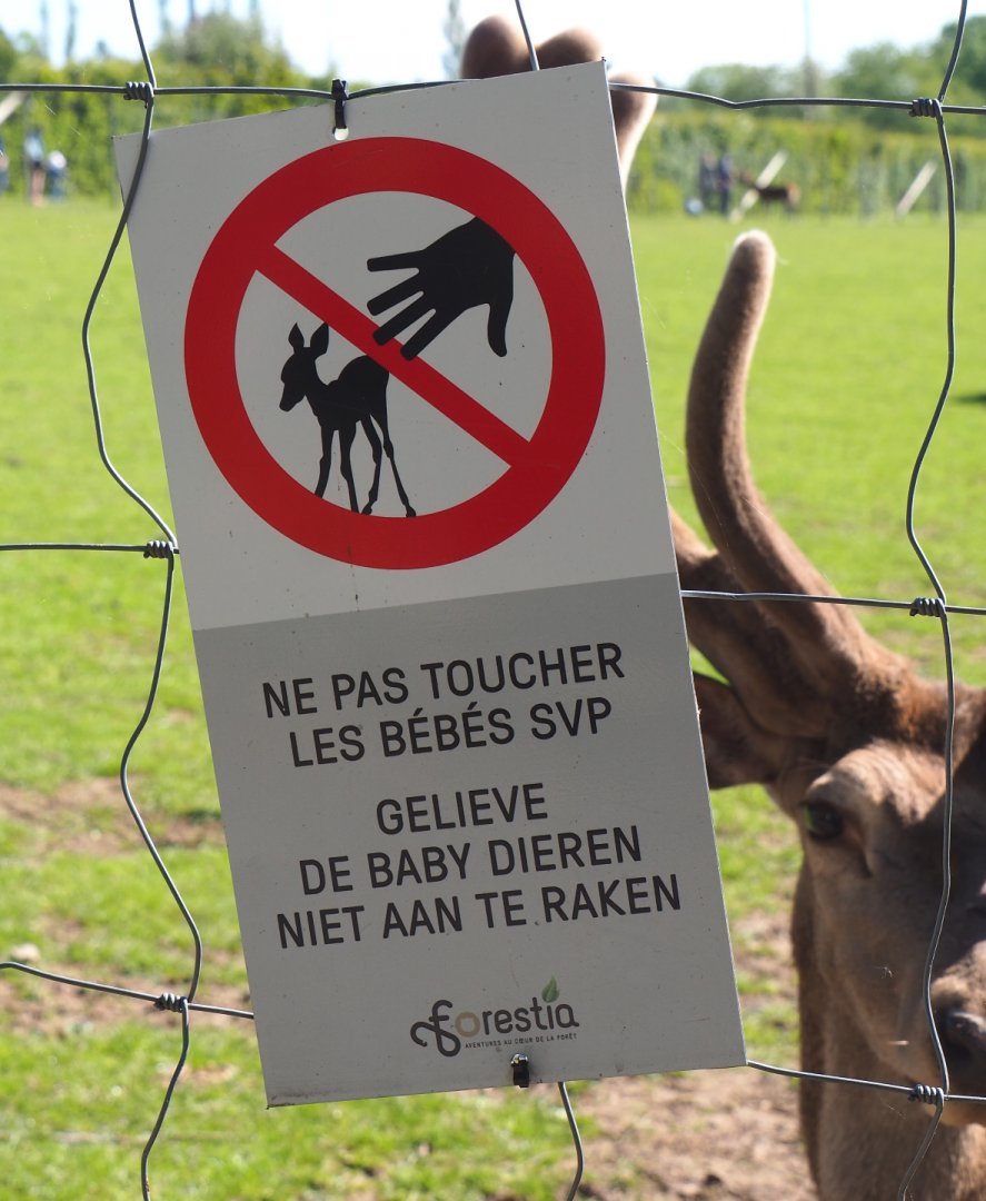Sign Please do not touch baby animals, 2021-05-29