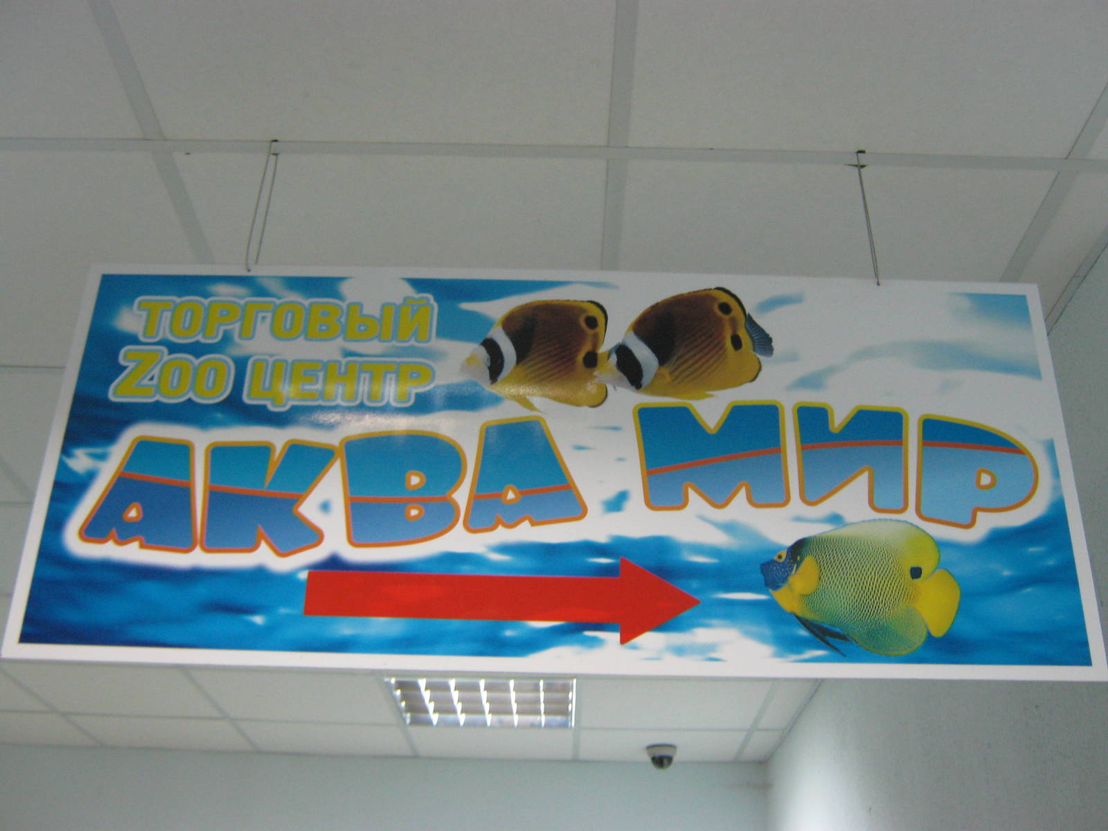 sign pointing to the aquatics shop