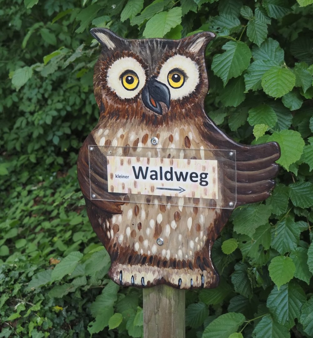 Sign pointing to Wald-Erlebnispfad, forest education and experience trail, 2025-05-22
