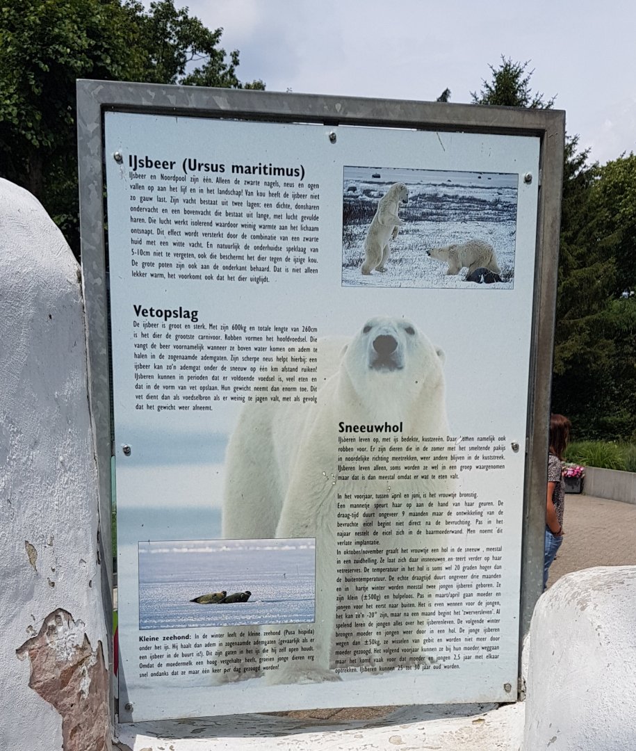 Sign Polar bear