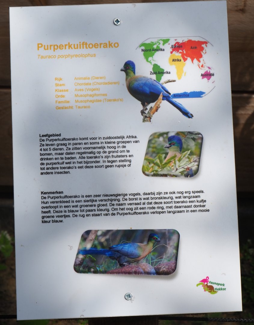 Sign purple-crested turaco, 2019-06-01