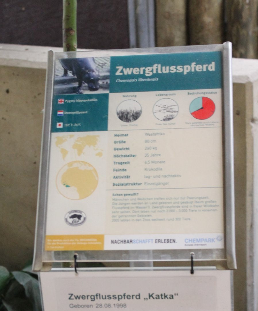 Sign Pygmy hippo
