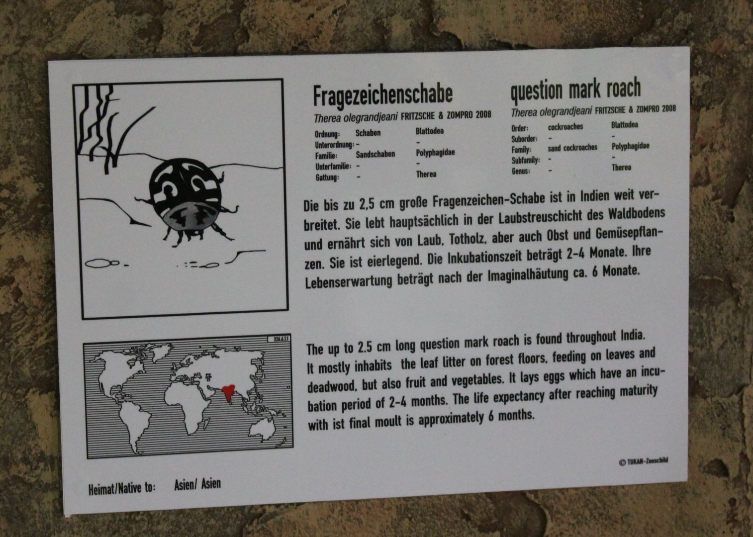 Sign Question-mark roach