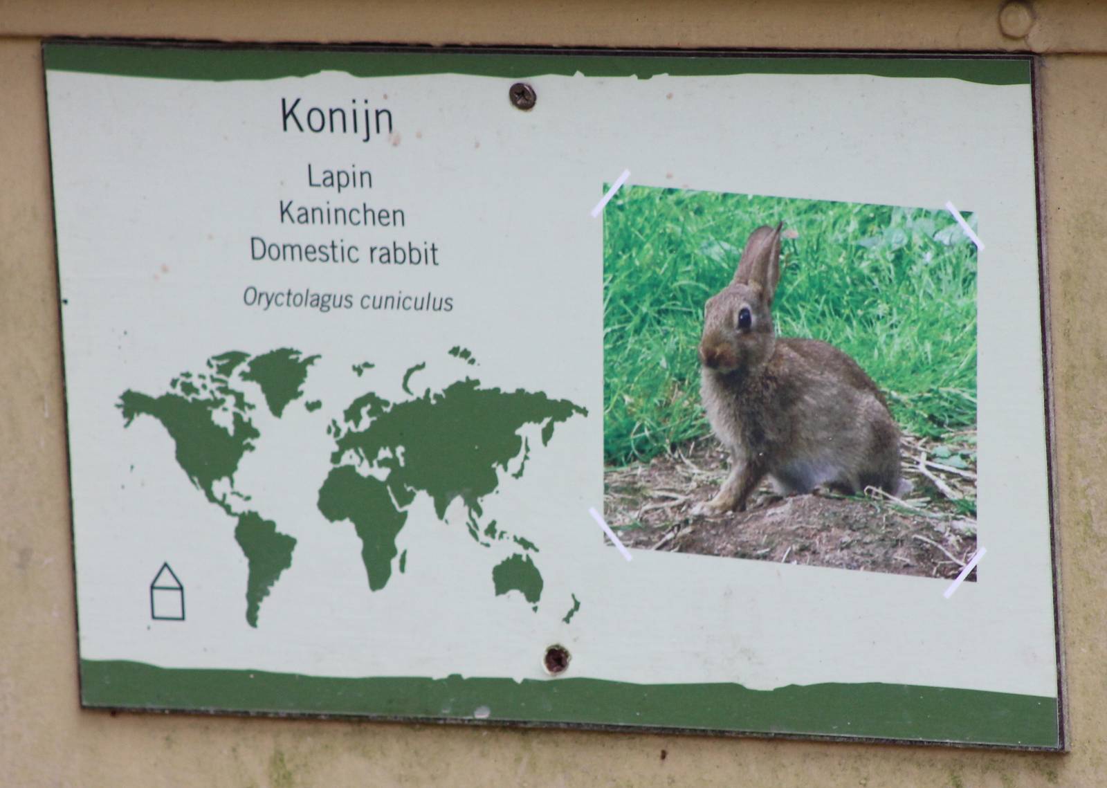 Sign Rabbit