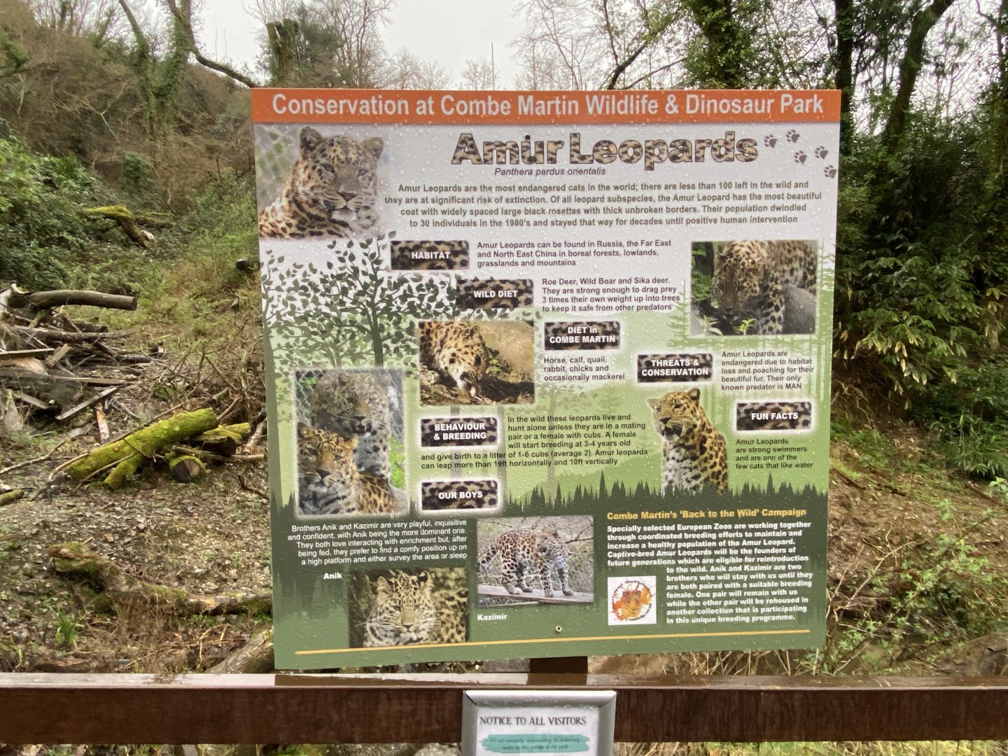 Sign re: new Amur leopard enclosure 170224