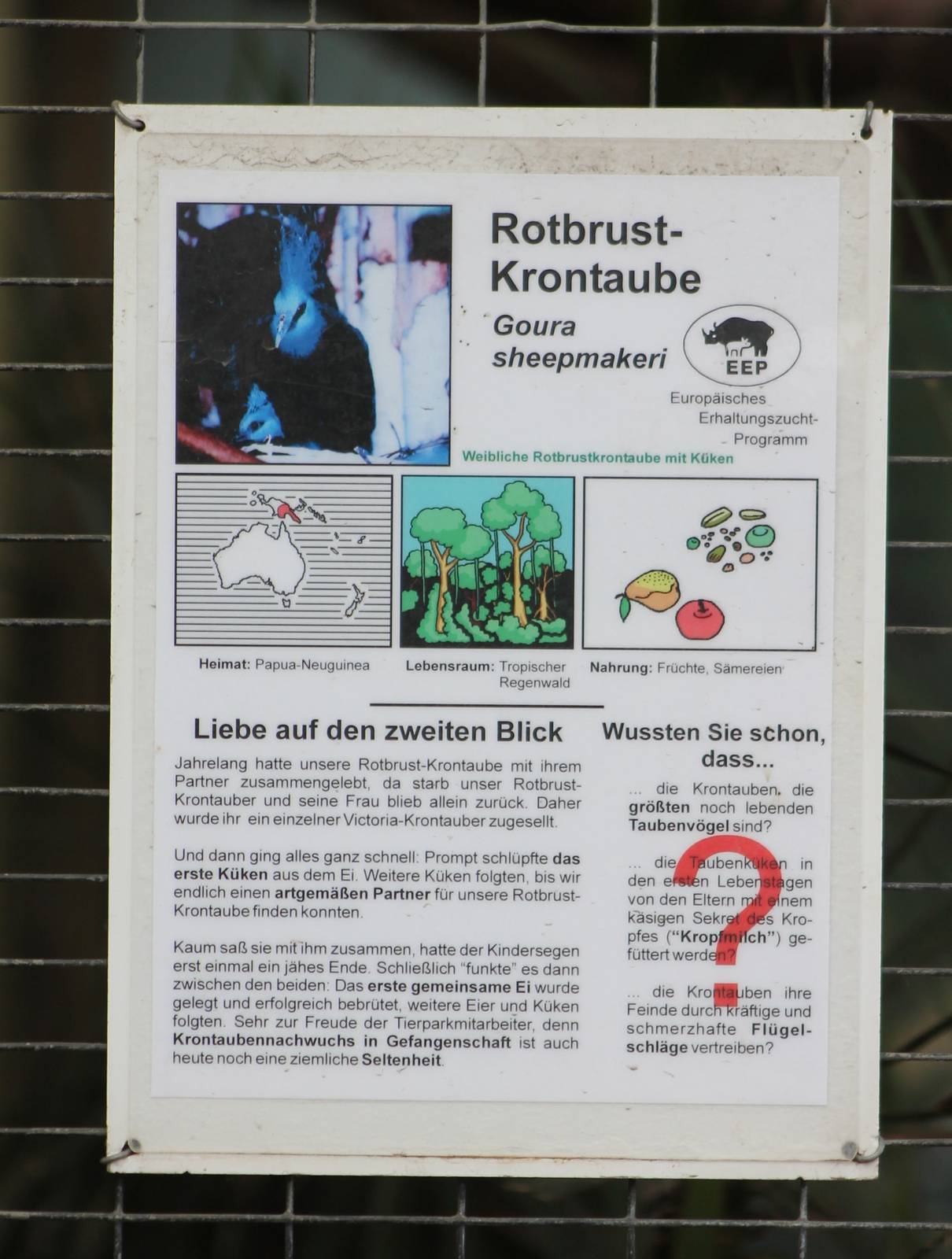 Sign Red-breasted crowned pigeon