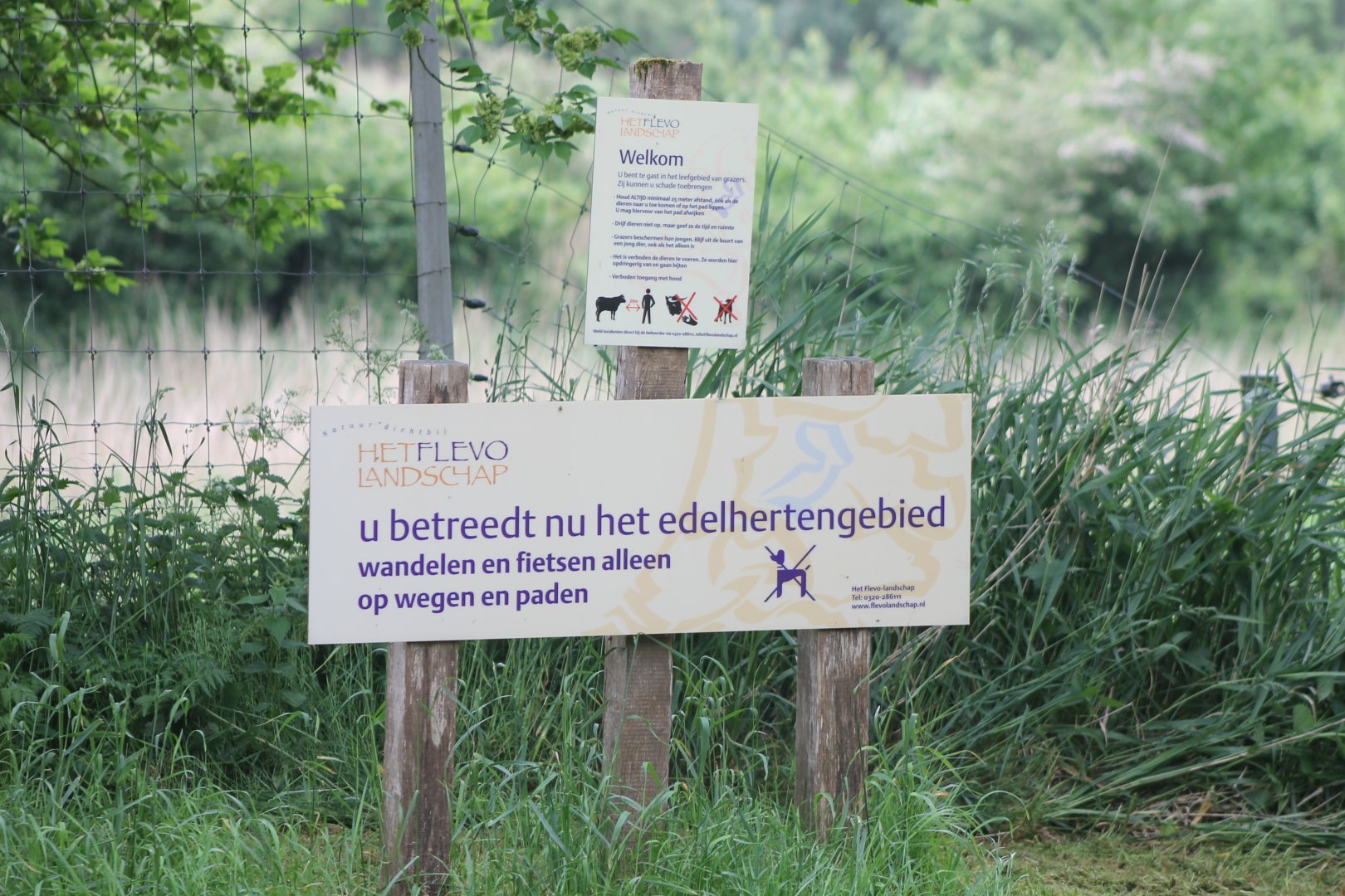 Sign Red deer - Mouflon Walk-through