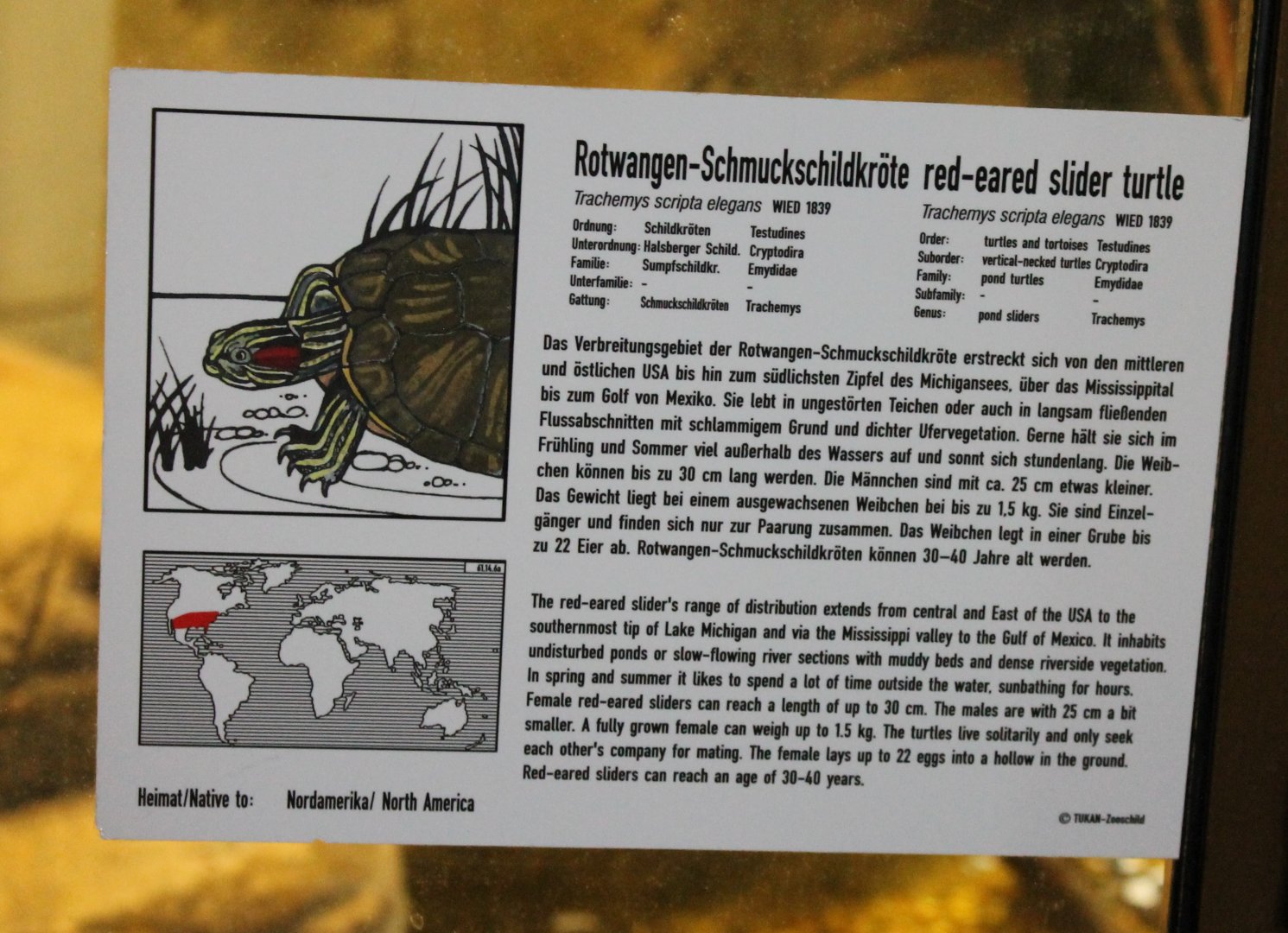 Sign Red-eared slider