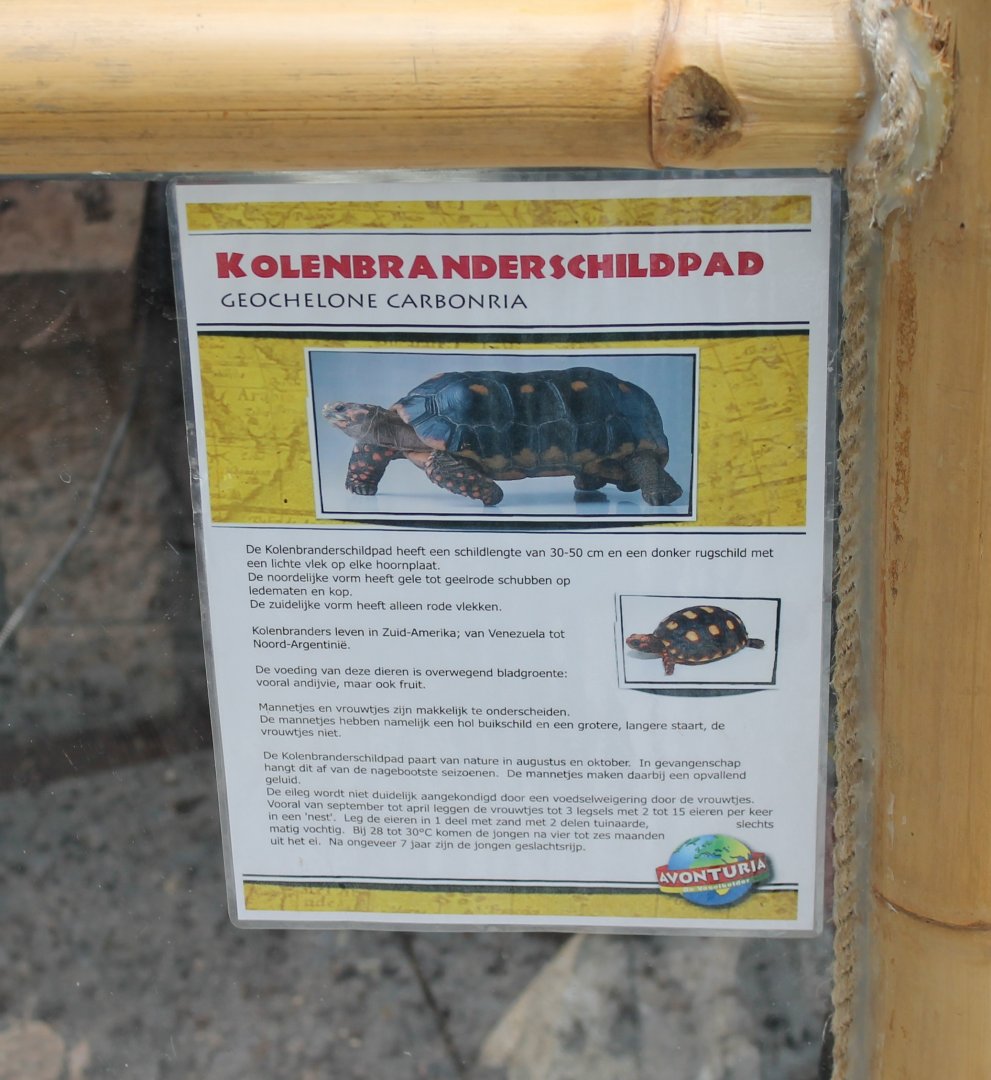 Sign Red-footed tortoise