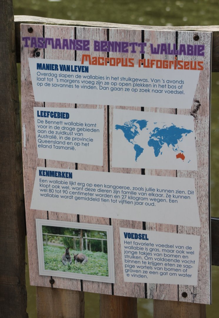 Sign Red-necked wallaby