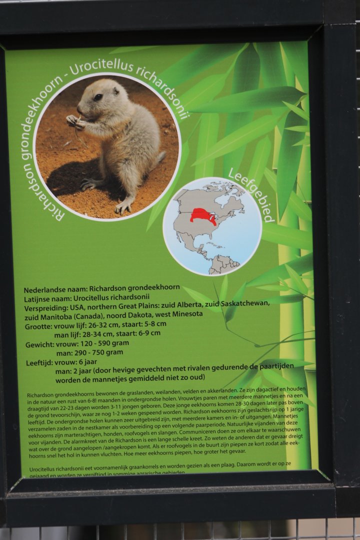 Sign Richardson's ground-squirrel