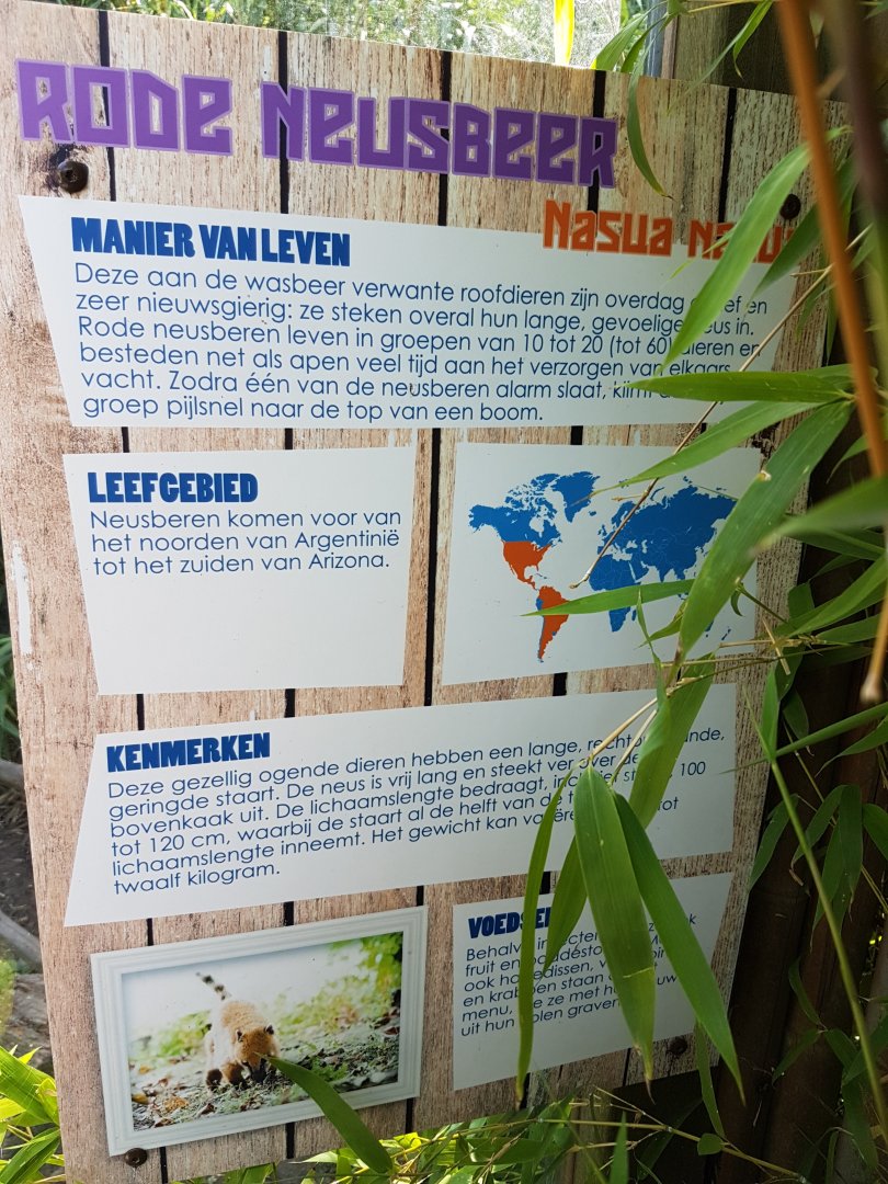 Sign Ring-tailed coati