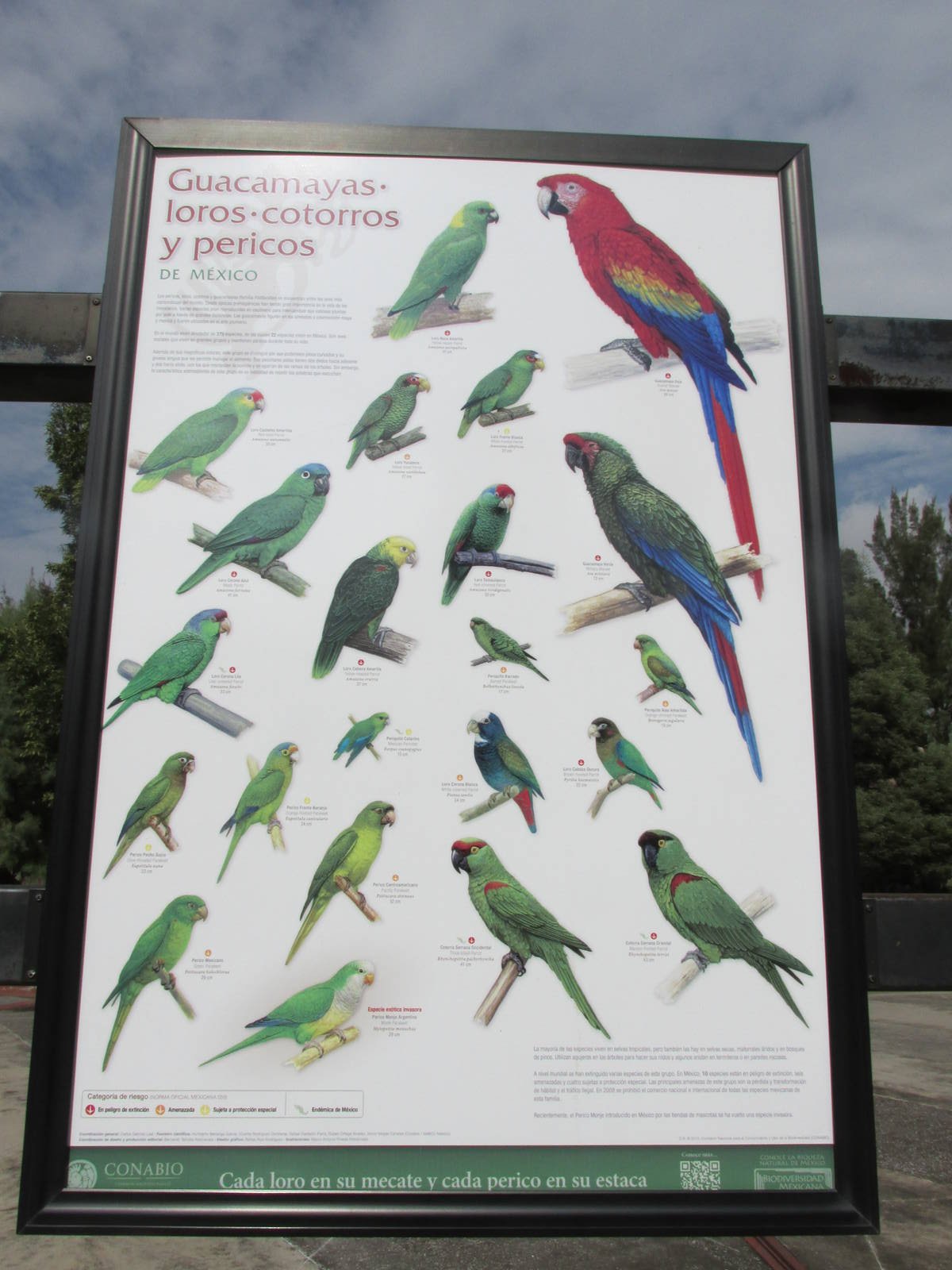 sign san juan de aragon zoo