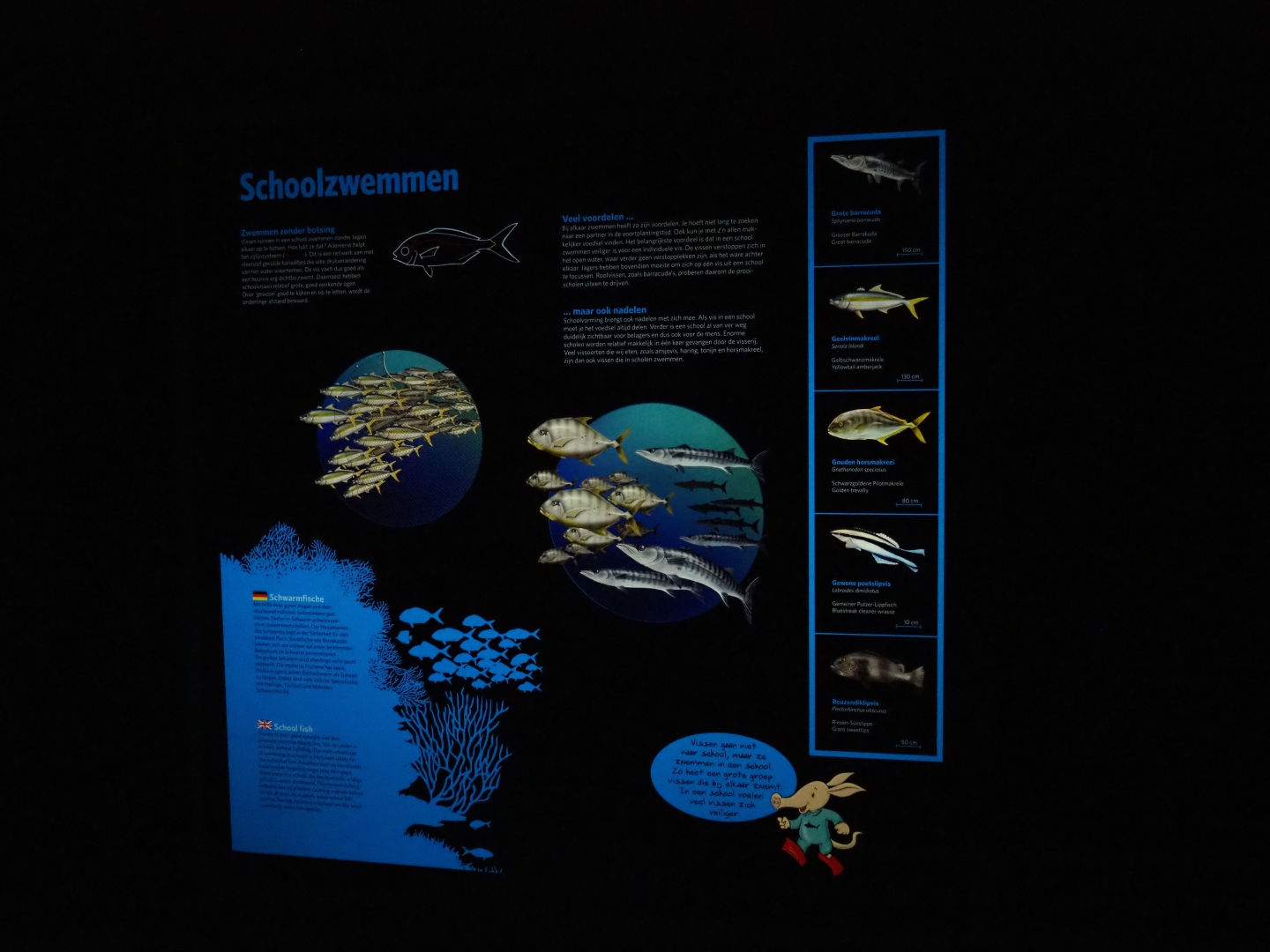 Sign schooling fish (Sep 16th, 2018)