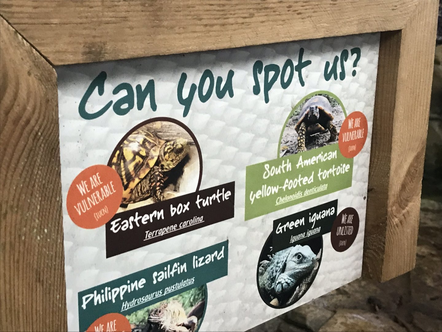 Sign showing inhabitants of Iguana Forest 050819