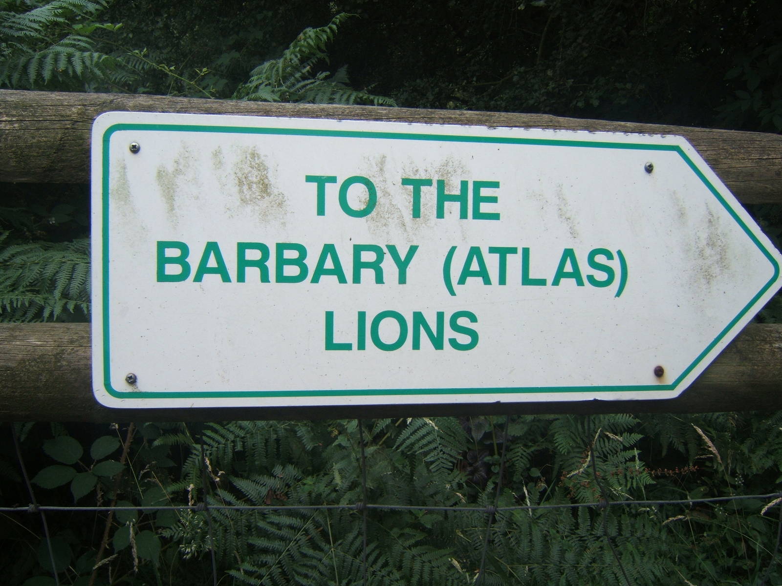 Sign showing which to the Lions